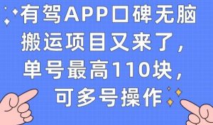 有驾APP口碑无脑搬运项目又来了，单号最高110块，可多号操作-大兵轻创资源库