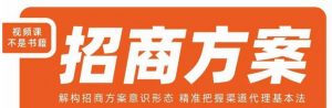 王昕招商方案，解构招商方案意识形态，精准把握渠道代理基本法-大兵轻创资源库