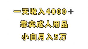 一天收入4000+，靠卖成人用品，小白轻松月入5万【揭秘】-大兵轻创资源库