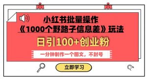 小红书批量操作《1000个野路子信息差》玩法，一分钟制作一个图文，不封号，日引100+创业粉-大兵轻创资源库