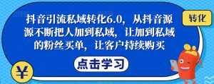 抖音引流私域转化6.0,从抖音源源不断把人加到私域,让加到私域的粉丝买单,让客户持续购买-大兵轻创资源库