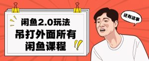 闲鱼2.0玩法单号每天日入2000,吊打市面所有课程-大兵轻创资源库