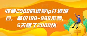 收费2980的塔罗ip打造项目,单价198-999不等,5天赚了2000块【揭秘】-大兵轻创资源库