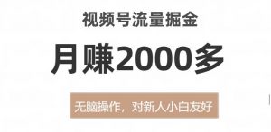 视频号流量掘金，无脑操作，对新人小白友好，月赚2000多【揭秘】-大兵轻创资源库