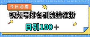 视频号引流精准粉，日引100+，流量爆炸【揭秘】-大兵轻创资源库