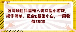 蓝海项目抖音无人美女播小游戏，操作简单，适合0基础小白，一周收益2500【揭秘】-大兵轻创资源库