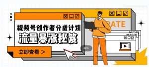 一条视频收益3000+，一条作品涨粉2000+，视频号流量爆炸·的秘籍-大兵轻创资源库