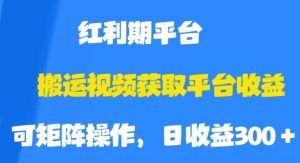 搬运视频获取平台收益，平台红利期，附保姆级教程【揭秘】-大兵轻创资源库