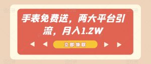 手表免费送，两大平台引流，月入1.2W【揭秘】-大兵轻创资源库