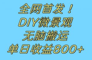 全网首发冷门赛道!DIY微景观,无脑搬运视频,日收益800+【揭秘】-大兵轻创资源库
