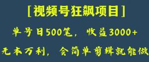 日收款500笔，纯利润3000+，视频号狂飙项目，会简单剪辑就能做【揭秘】-大兵轻创资源库