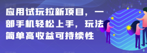 应用试玩拉新项目，一部手机轻松上手，玩法简单高收益可持续性【揭秘】-大兵轻创资源库