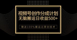 最新视频号创作分成计划，无脑搬运一天收益500+，100%搬运过原创技巧【揭秘】-大兵轻创资源库
