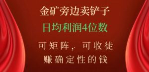金矿旁边卖铲子，赚确定性的钱，可矩阵，可收徒，日均利润4位数【揭秘】-大兵轻创资源库