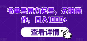 书单号暴力起号，无脑操作，日入1000+【揭秘】-大兵轻创资源库