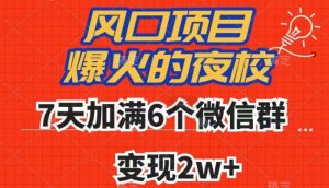 全网首发，爆火的夜校，7天加满6个微信群，变现2w+【揭秘】-大兵轻创资源库