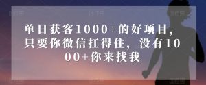 单日获客1000+的好项目，只要你微信扛得住，没有1000+你来找我【揭秘】-大兵轻创资源库