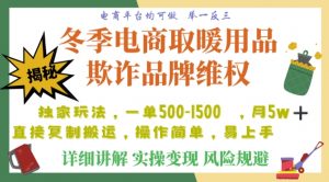 利用电商平台冬季销售取暖用品欺诈行为合理制裁店铺,单日入900+【仅揭秘】-大兵轻创资源库