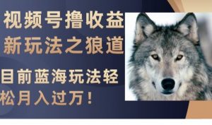 视频号撸收益新玩法之狼道,目前蓝海玩法,轻松月入过万【揭秘】-大兵轻创资源库