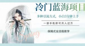 冷门蓝海项目，操作简单，小白3分钟上手，多种引流方式，保姆式全流程教学【揭秘】-大兵轻创资源库