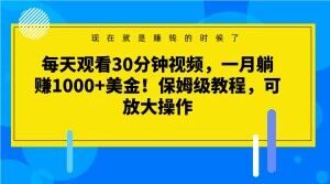 每天观看30分钟视频,一月躺赚1000+美金!保姆级教程,可放大操作【揭秘】-大兵轻创资源库