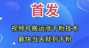 全网首发:视频号无脑搬运涨千粉技术,最快当天到千粉【揭秘】-大兵轻创资源库
