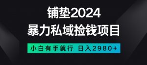 暴力私域捡钱项目，小白无脑操作，日入2980【揭秘】-大兵轻创资源库