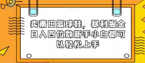 卖莆田篮球鞋，暴利掘金日入四位数新手小白都可以轻松上手【揭秘】-大兵轻创资源库