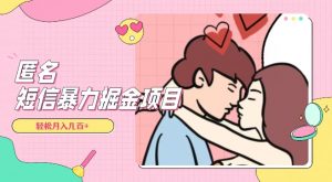 全网首发，揭秘超冷门匿名短信项目，通过信息差日入几百+【揭秘】-大兵轻创资源库