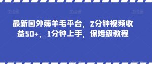 最新国外薅羊毛平台，2分钟视频收益50+，1分钟上手，保姆级教程【揭秘】-大兵轻创资源库
