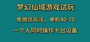 梦幻仙域游戏试玩，免微信玩法，单机40-70，一个人同时操作十台设备【揭秘】-大兵轻创资源库