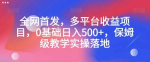 全网首发，多平台收益项目，0基础日入500+，保姆级教学实操落地【揭秘】-大兵轻创资源库