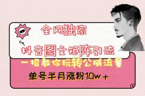 全网独家抖音图文矩阵引流，一招教你玩转公域流量，单号半月涨粉10w+【揭秘】-大兵轻创资源库