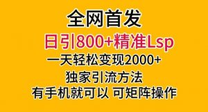 全网首发！日引800+精准老色批，一天变现2000+，独家引流方法，可矩阵操作【揭秘】-大兵轻创资源库
