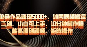 单条作品变现5000+、外网视频搬运二创，小白可上手，10分钟制作爆款高原创视频，矩阵操作【揭秘】-大兵轻创资源库