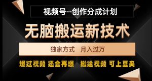 视频号无脑搬运新技术，破原创壕流量，独家方式，爆过视频，还会再爆【揭秘】-大兵轻创资源库