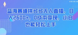 蓝海赛道拼多多无人直播，日入2600+，0成本变现，小白也能轻松上手【揭秘】-大兵轻创资源库