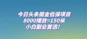 今日头条掘金低保项目，8000播放=150米，小白副业首选【揭秘】-大兵轻创资源库