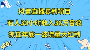 抖音直播暴利项目，有人30小时收入36万音浪，公司宣传片年会视频制作，抓住年底一波流量大红利【揭秘】-大兵轻创资源库