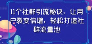 11个社群引流秘诀，让用户裂变倍增，轻松打造社群流量池-大兵轻创资源库