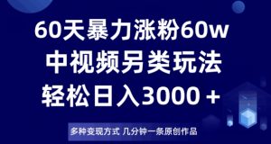 60天暴力涨粉60W，中视频另类玩法，日入3000＋，几分钟一条原创作品多种变现方式-大兵轻创资源库