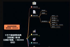 十万个富翁修炼宝典之3.念稿子直播，一天2000左右-大兵轻创资源库