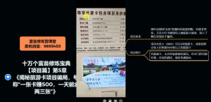 十万个富翁修炼宝典之5.揭秘旅游卡项目骗局，号称“一张卡赚500，一天能卖两三张”-大兵轻创资源库