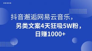 抖音邂逅网易云音乐，另类文案4天狂吸5W粉，日赚1000+【揭秘】-大兵轻创资源库