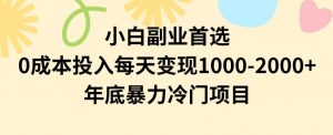 小白副业首选，0成本投入，每天变现1000-2000年底暴力冷门项目【揭秘】-大兵轻创资源库
