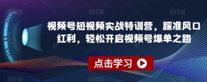视频号短视频实战特训营,踩准风口红利,轻松开启视频号爆单之路-大兵轻创资源库