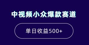 中视频小众爆款赛道，7天涨粉5万+，小白也能无脑操作，轻松月入上万【揭秘】-大兵轻创资源库