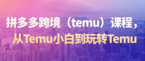拼多多跨境（temu）课程，从Temu小白到玩转Temu-大兵轻创资源库
