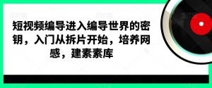 短视频编导进入编导世界的密钥，入门从拆片开始，培养网感，建素素库-大兵轻创资源库
