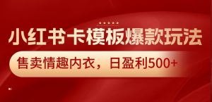 小红书卡模板爆款玩法，售卖情趣内衣，日盈利500+【揭秘】-大兵轻创资源库